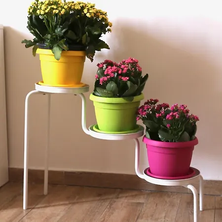 Da Nonna Lina Ai Napels