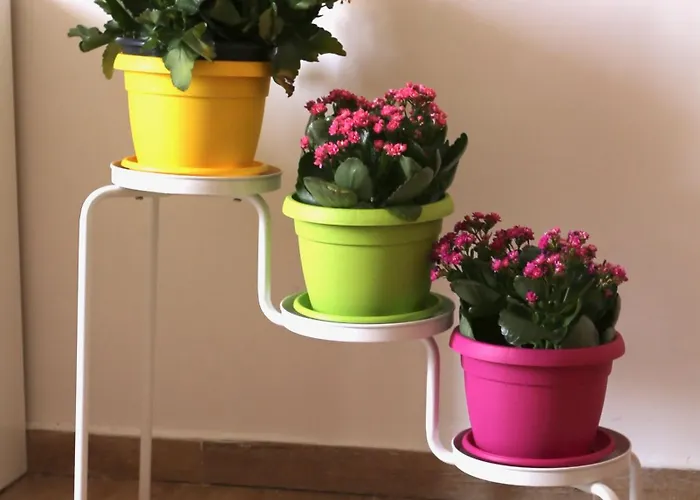 Da Nonna Lina Ai Naples